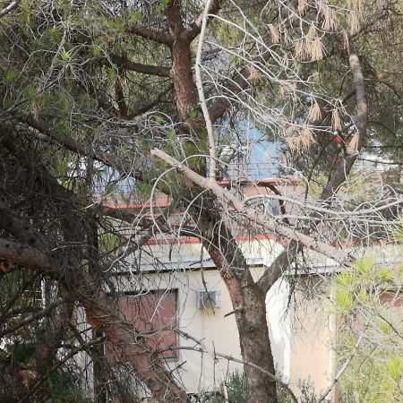 Apartman Lucica Zadar Zewnętrze zdjęcie