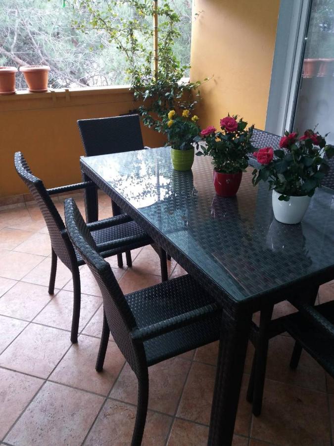 Apartman Lucica Zadar Zewnętrze zdjęcie