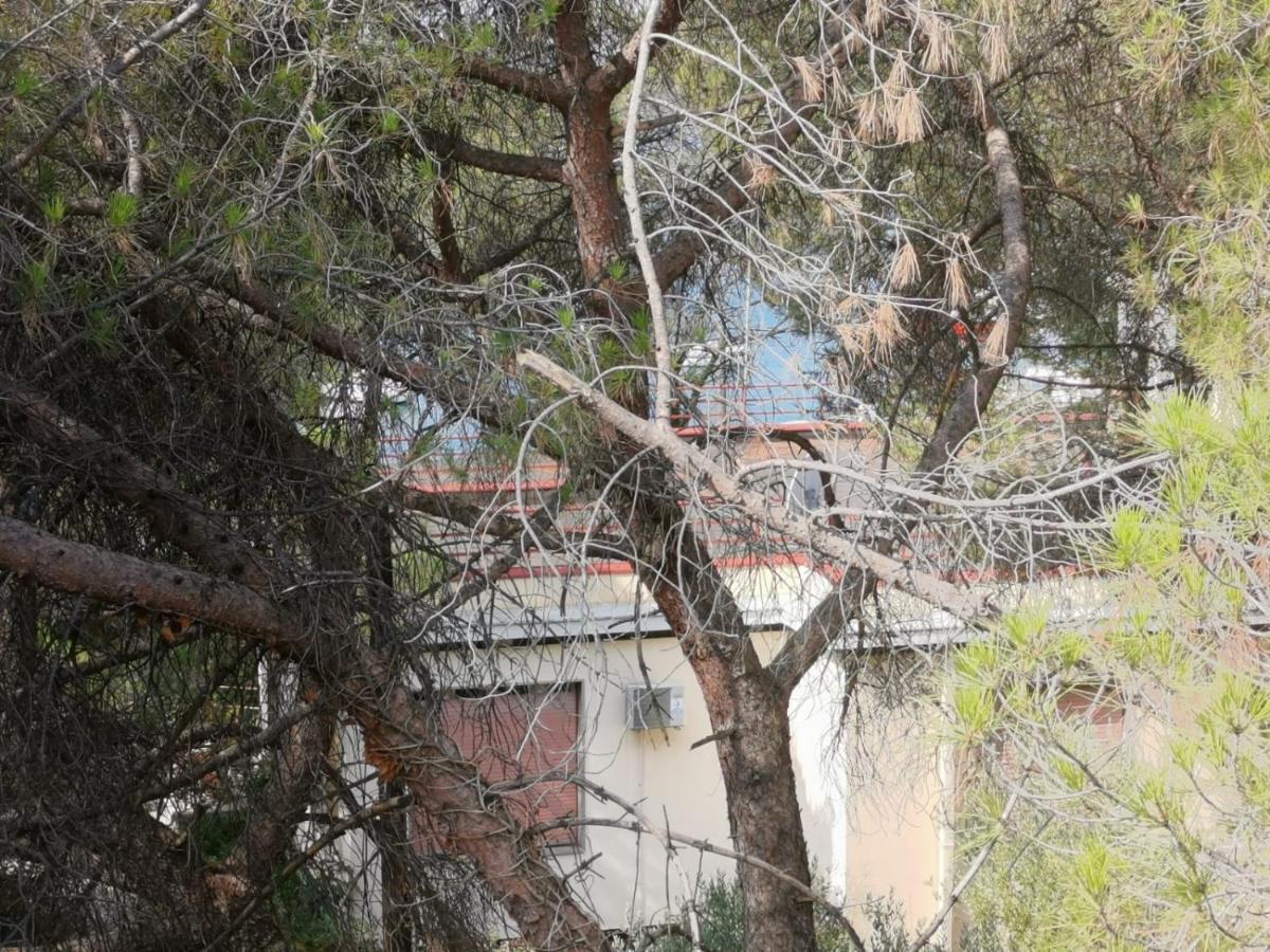 Apartman Lucica Zadar Zewnętrze zdjęcie